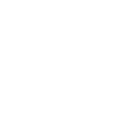 みんなで楽しむ